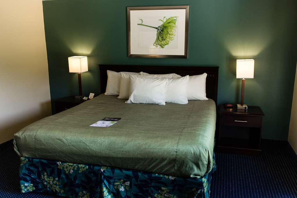 Inn At Deep Creek Oakland Camera foto